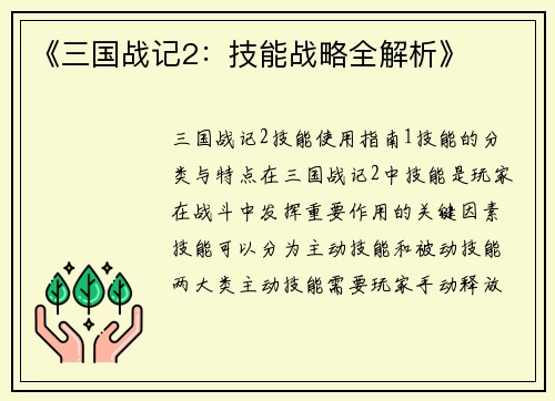 《三国战记2：技能战略全解析》