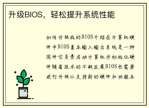升级BIOS，轻松提升系统性能